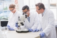Scientists examining something with the microscope in the laboratory