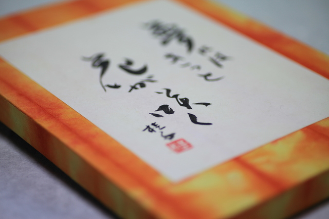 春の行書の書き方や例文・文例・書式や言葉の意味などと記入例